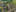 3322 VGL Molenerven Veld G 01 LR